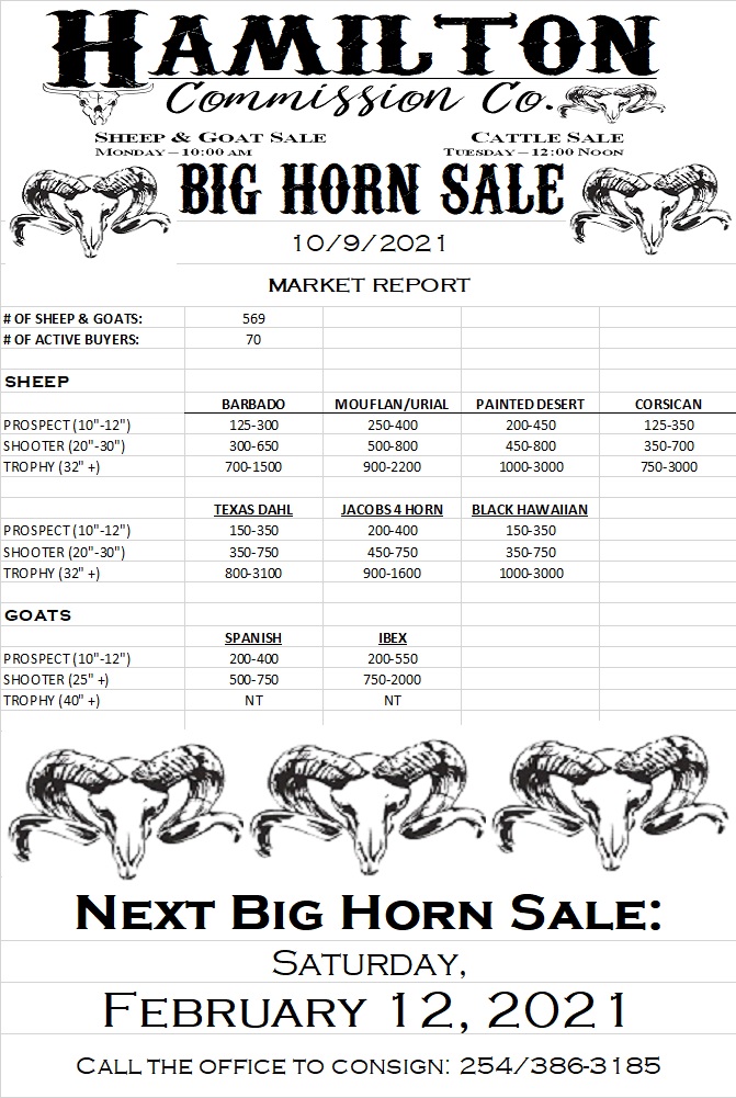 10.9.21 BH market report