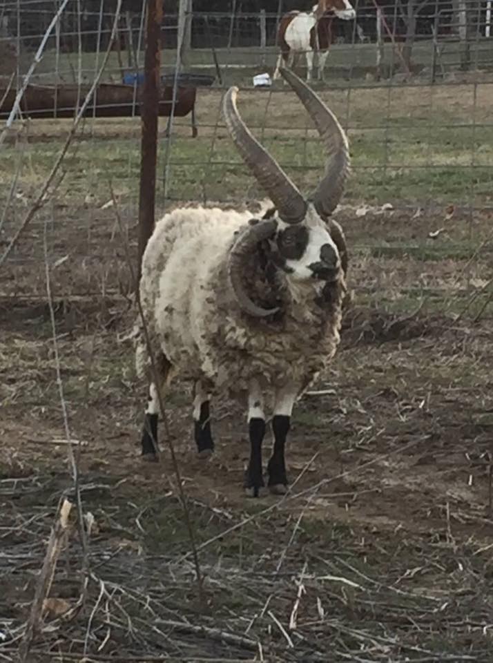 43584708_1052166671610835_6929287969492697088_n