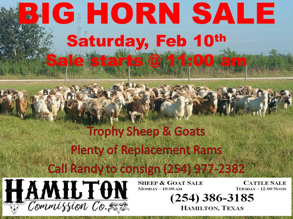 BIG HORN SALE AD
